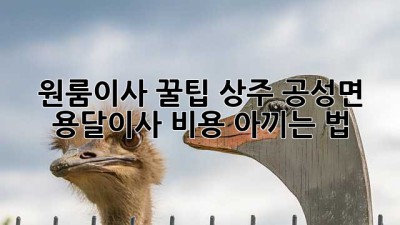 원룸이사 꿀팁🍯 상주 공성면 용달이사 비용 아끼는 법!